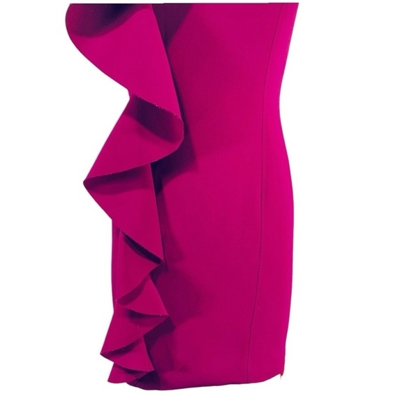 NEW Cinq A Sept Kimberlin Sleeveless Ruffle Dress Size 2 - Picture 6 of 9